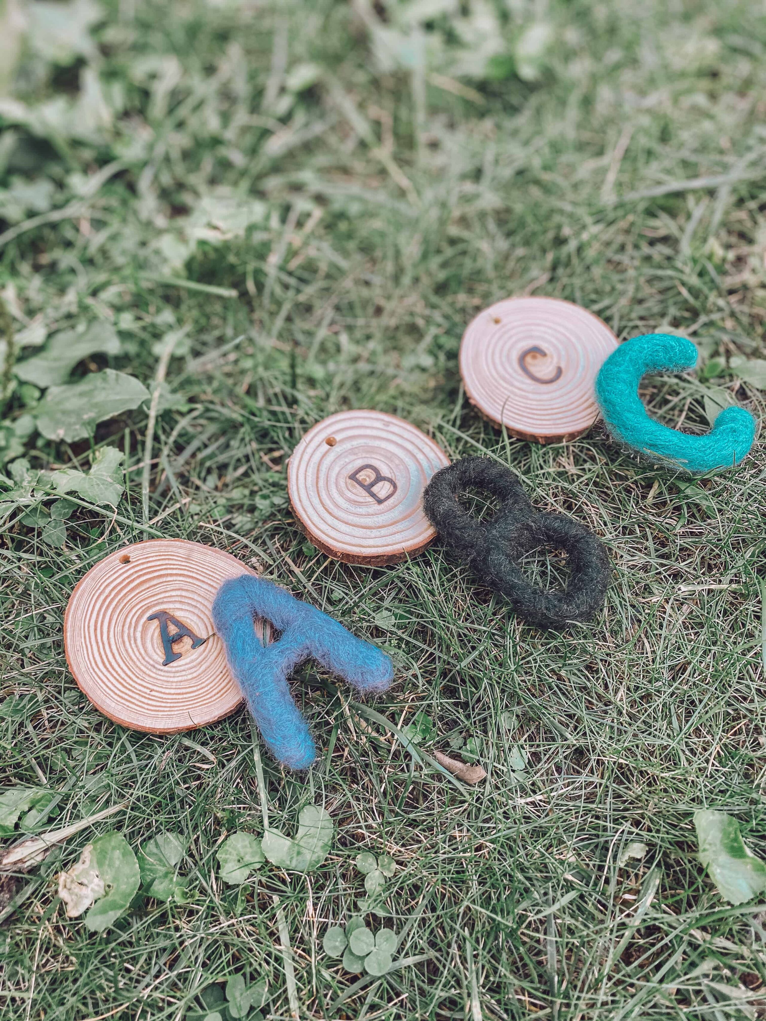 DIY Abecedario de Madera~ Wooden Alphabet Disk Set