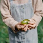 anonymous kid showing picked fruit