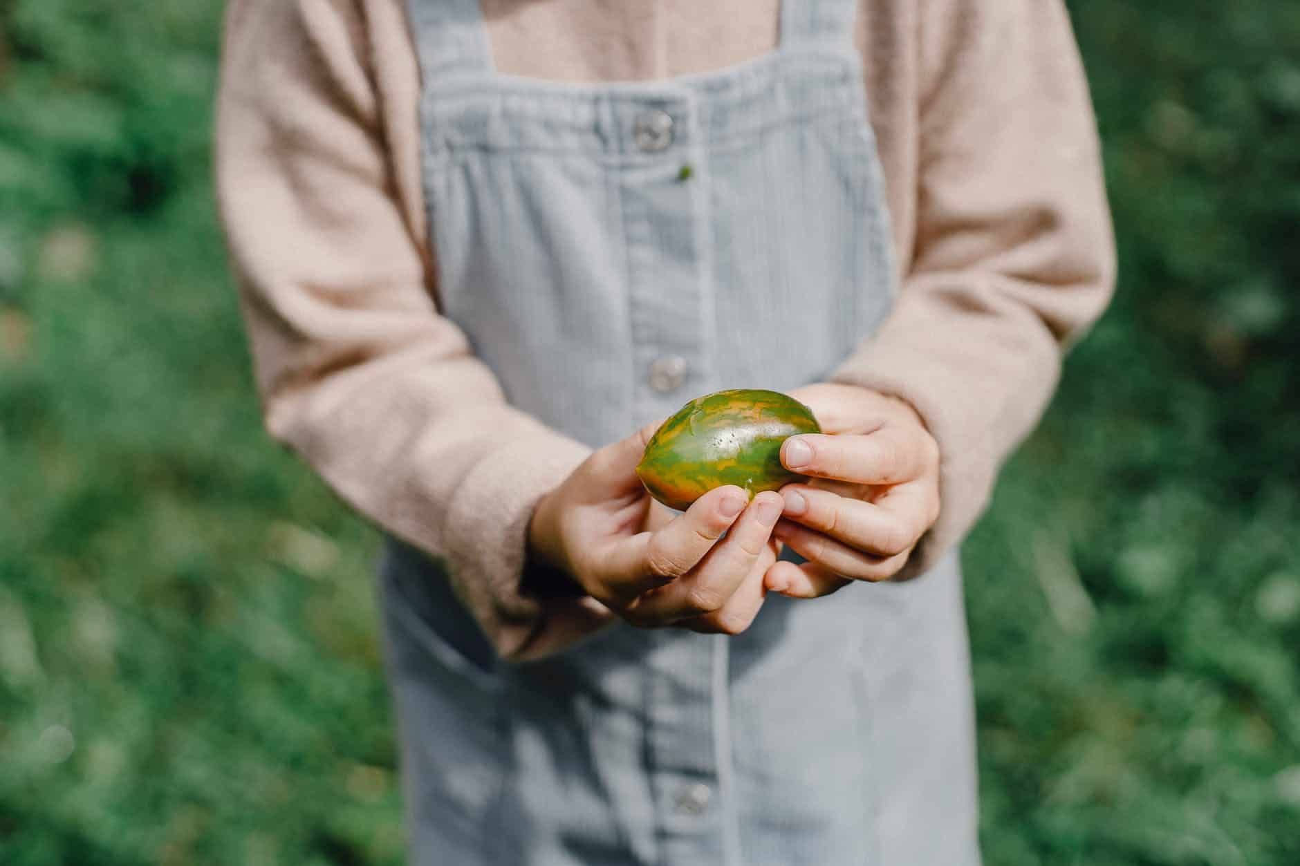 anonymous kid showing picked fruit