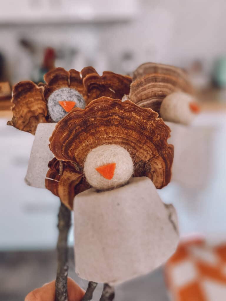 Turkey puppets on sticks with turkey tail mushrooms
