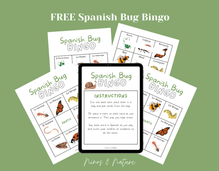 Learn about Insects & Bugs in Spanish Free Printable Spanish Bingo