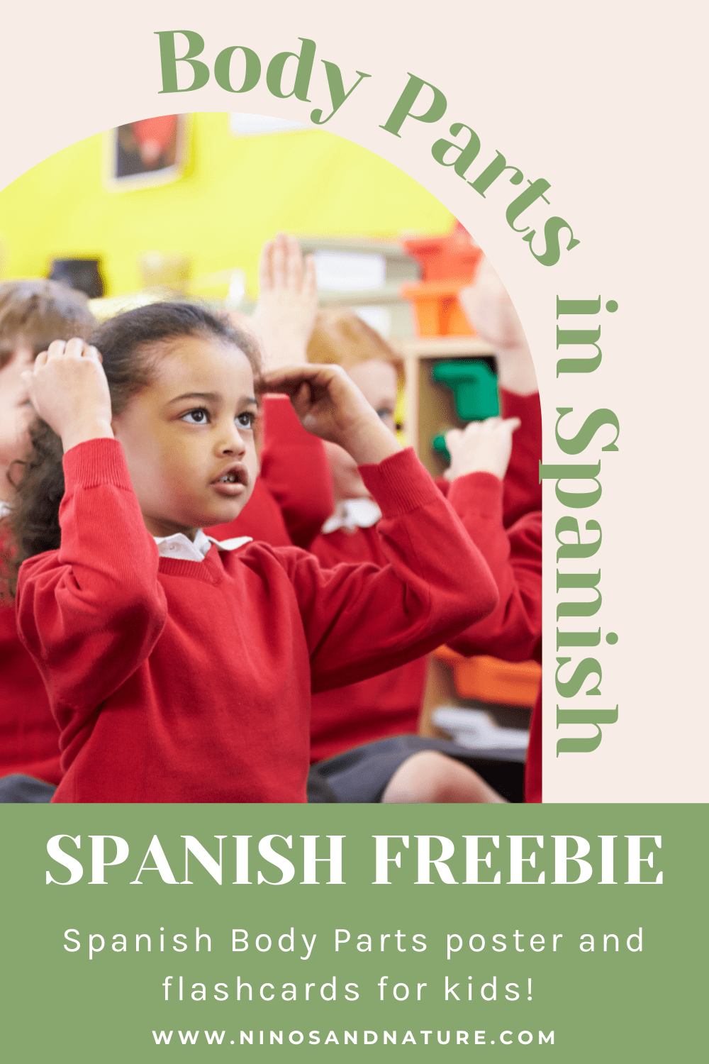 Learn the Body Parts in Spanish Free Spanish Worksheets Niños & Nature