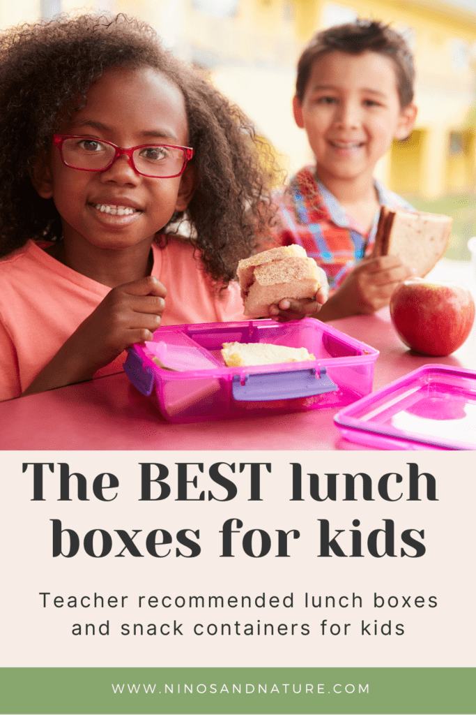 Best Lunch Boxes for Kids - Healthy Family Project