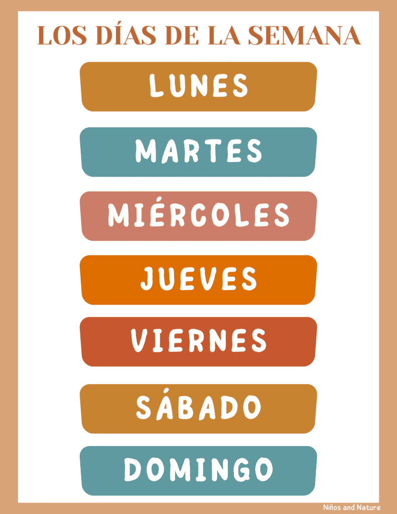 The Days of the Week in Spanish  Días de la semana School Guide