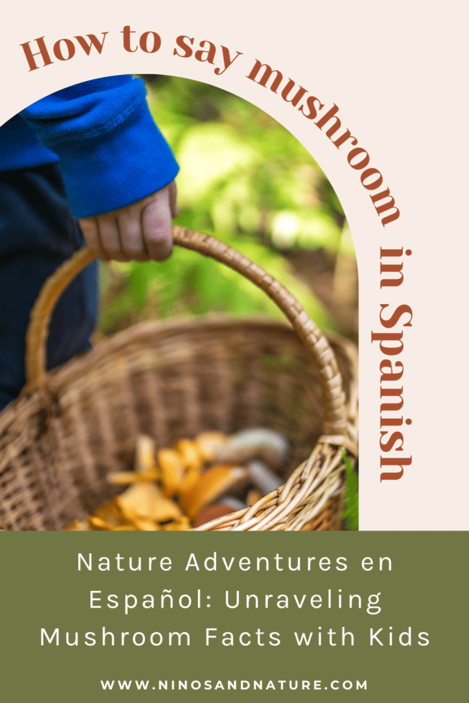 Spanish Nature Lessons for Kids How to Say Mushroom in Spanish