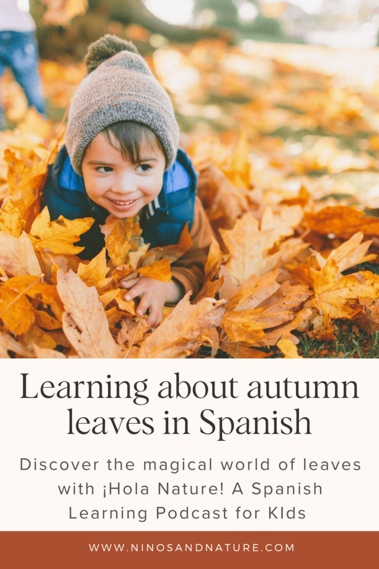 Bilingual Nature Adventure How to Say Leaf in Spanish Niños & Nature