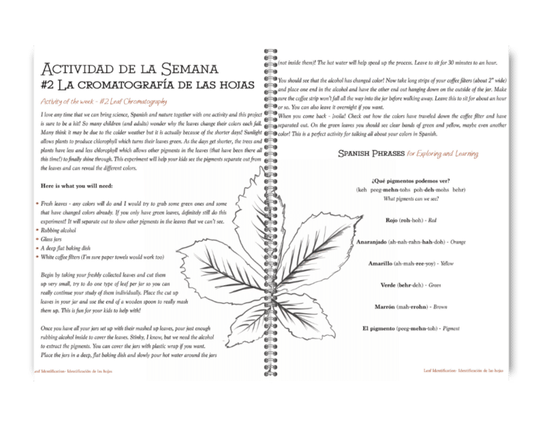 spanish in the wild autumn