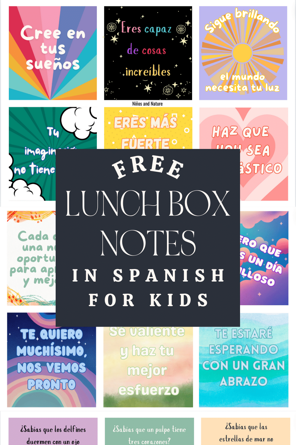 Fun Spanish Printables for Back to School: For Bilingual Families & Spanish Teachers | Niños ...