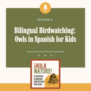 Hola Nature Podcast - Owl Episode