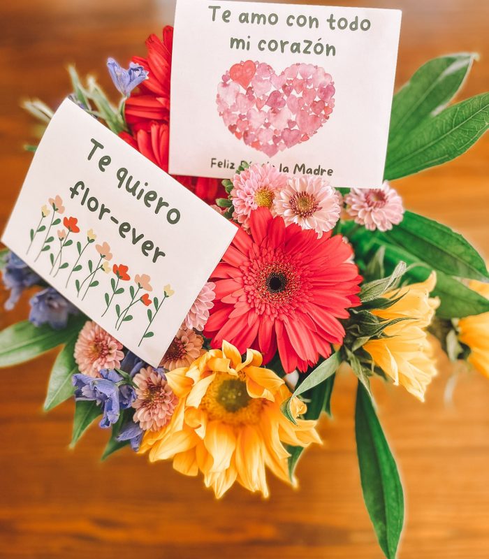 printable Spanish Happy Mother's Day cards
