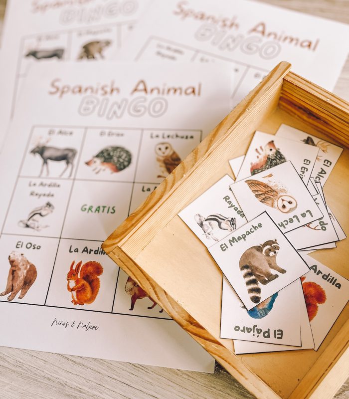 free spanish bingo for kids