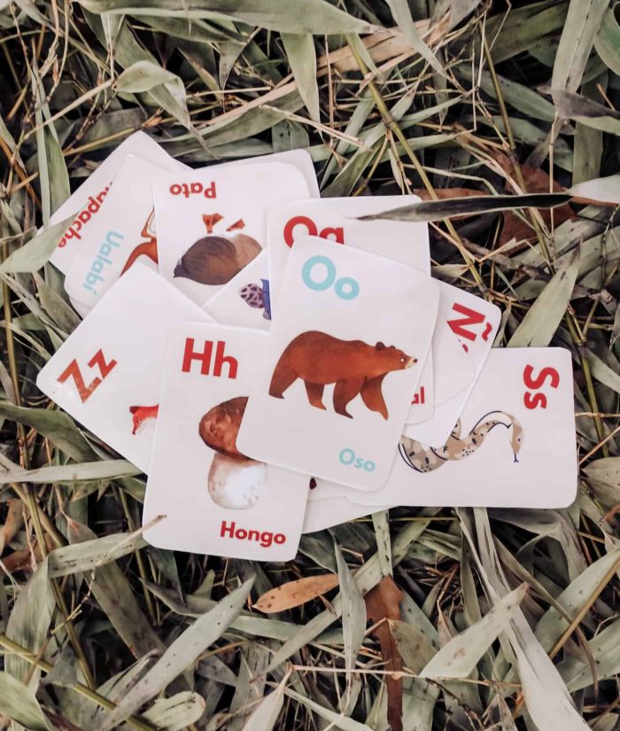 Spanish alphabet flash cards